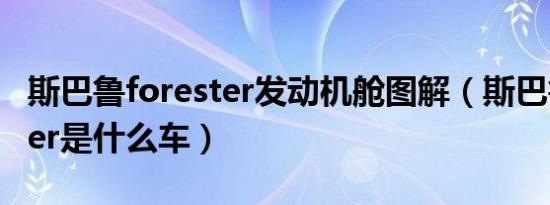 斯巴鲁forester发动机舱图解（斯巴鲁forester是什么车）