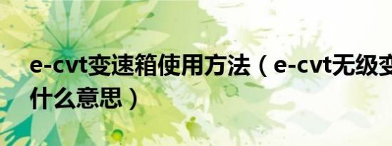 e-cvt变速箱使用方法（e-cvt无级变速箱是什么意思）