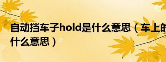 自动挡车子hold是什么意思（车上的hold是什么意思）