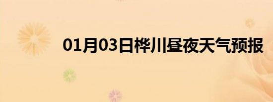 01月03日桦川昼夜天气预报