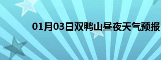 01月03日双鸭山昼夜天气预报