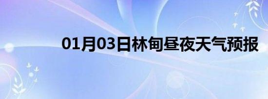 01月03日林甸昼夜天气预报