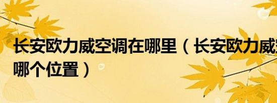长安欧力威空调在哪里（长安欧力威空调滤在哪个位置）