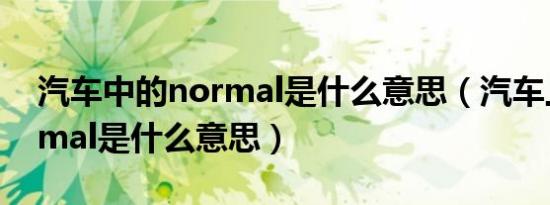 汽车中的normal是什么意思（汽车上的normal是什么意思）