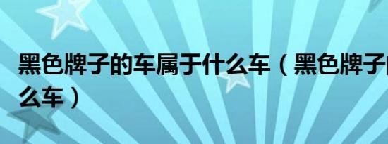 黑色牌子的车属于什么车（黑色牌子的车是什么车）