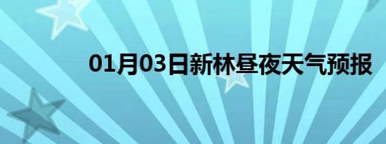 01月03日新林昼夜天气预报