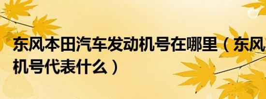 东风本田汽车发动机号在哪里（东风本田发动机号代表什么）