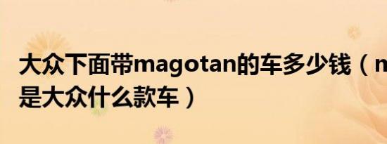 大众下面带magotan的车多少钱（magotan是大众什么款车）