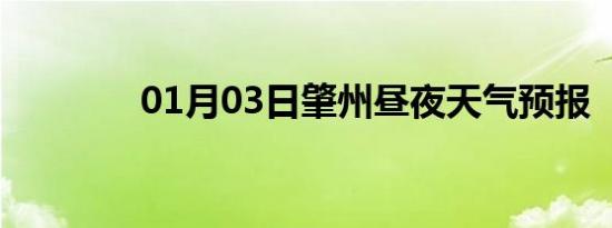 01月03日肇州昼夜天气预报