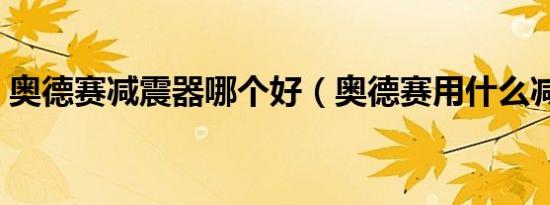 奥德赛减震器哪个好（奥德赛用什么减震器）