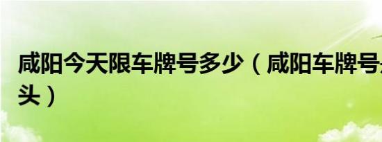 咸阳今天限车牌号多少（咸阳车牌号是什么开头）