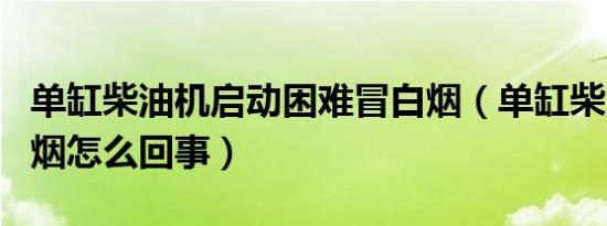 单缸柴油机启动困难冒白烟（单缸柴油机冒白烟怎么回事）