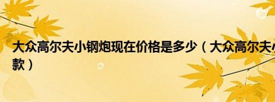 大众高尔夫小钢炮现在价格是多少（大众高尔夫小钢炮是哪款）