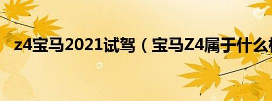 z4宝马2021试驾（宝马Z4属于什么档次）