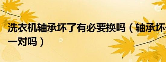 洗衣机轴承坏了有必要换吗（轴承坏一个是换一对吗）