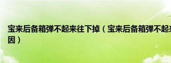 宝来后备箱弹不起来往下掉（宝来后备箱弹不起来是什么原因）