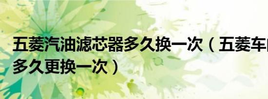 五菱汽油滤芯器多久换一次（五菱车的汽油滤多久更换一次）