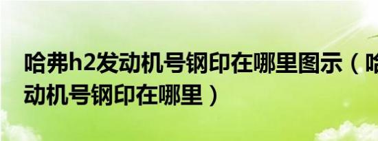 哈弗h2发动机号钢印在哪里图示（哈弗h2发动机号钢印在哪里）