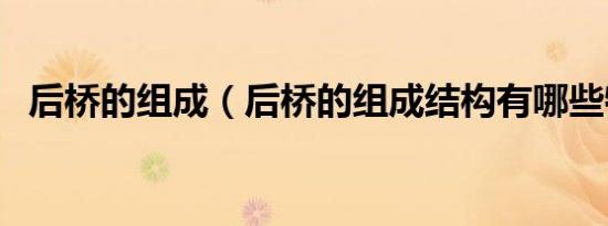 后桥的组成（后桥的组成结构有哪些特点）