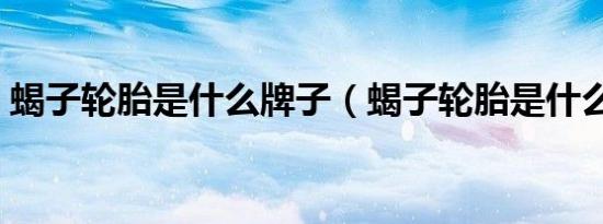 蝎子轮胎是什么牌子（蝎子轮胎是什么牌子）