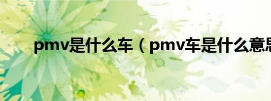 pmv是什么车（pmv车是什么意思）