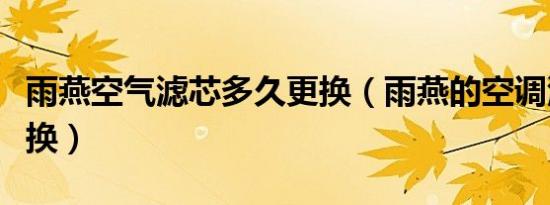 雨燕空气滤芯多久更换（雨燕的空调滤芯多久换）