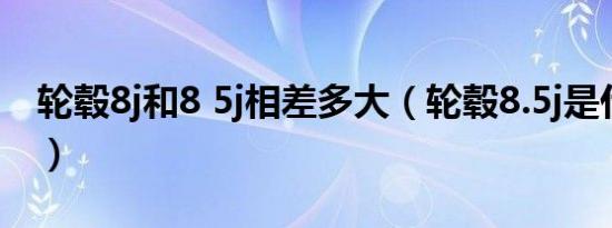 轮毂8j和8 5j相差多大（轮毂8.5j是什么意思）