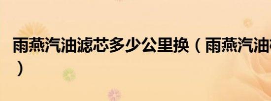 雨燕汽油滤芯多少公里换（雨燕汽油格多久换）