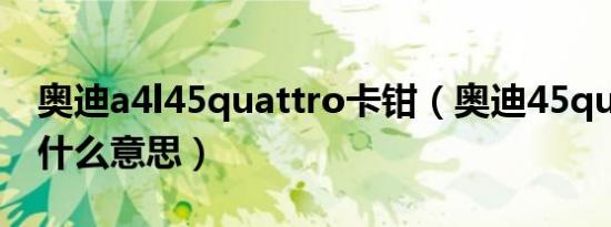 奥迪a4l45quattro卡钳（奥迪45quattro是什么意思）