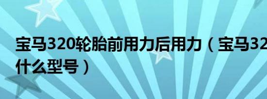 宝马320轮胎前用力后用力（宝马320轮胎是什么型号）