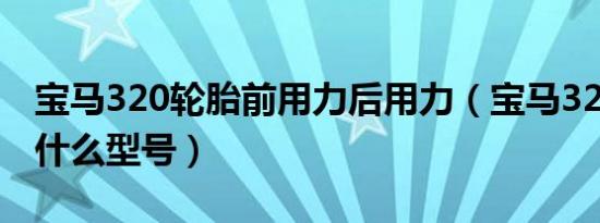 宝马320轮胎前用力后用力（宝马320轮胎是什么型号）