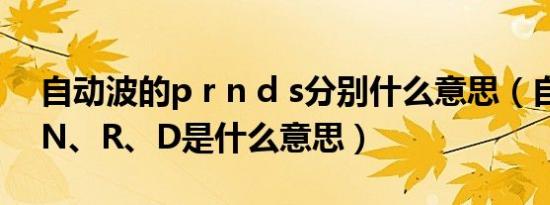 自动波的p r n d s分别什么意思（自动波p、N、R、D是什么意思）