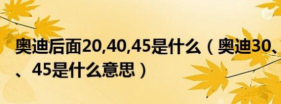 奥迪后面20,40,45是什么（奥迪30、35、40、45是什么意思）