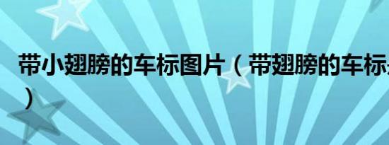 带小翅膀的车标图片（带翅膀的车标是什么车）