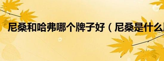 尼桑和哈弗哪个牌子好（尼桑是什么牌子）
