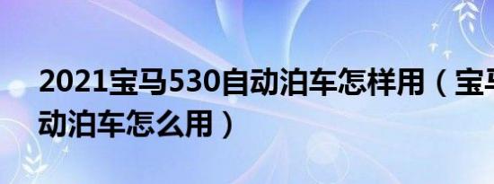 2021宝马530自动泊车怎样用（宝马530自动泊车怎么用）