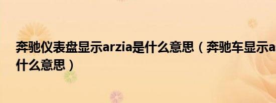 奔驰仪表盘显示arzia是什么意思（奔驰车显示assystplus什么意思）