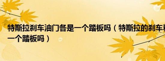 特斯拉刹车油门各是一个踏板吗（特斯拉的刹车和油门是同一个踏板吗）