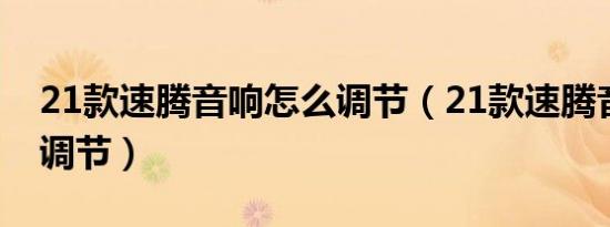 21款速腾音响怎么调节（21款速腾音响怎么调节）