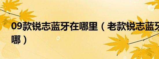 09款锐志蓝牙在哪里（老款锐志蓝牙设置在哪）