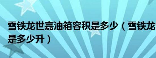 雪铁龙世嘉油箱容积是多少（雪铁龙世嘉油箱是多少升）