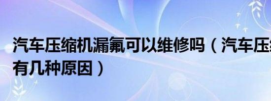 汽车压缩机漏氟可以维修吗（汽车压缩机漏氟有几种原因）
