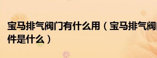 宝马排气阀门有什么用（宝马排气阀门开闭条件是什么）