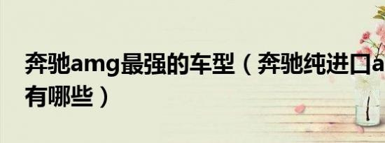 奔驰amg最强的车型（奔驰纯进口amg车型有哪些）