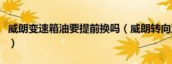威朗变速箱油要提前换吗（威朗转向油多久换）