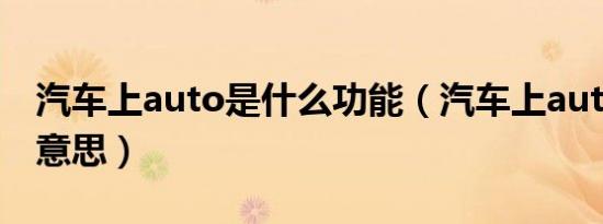 汽车上auto是什么功能（汽车上auto是什么意思）