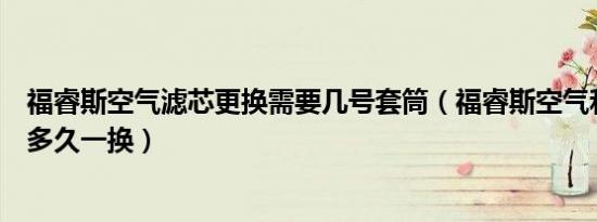 福睿斯空气滤芯更换需要几号套筒（福睿斯空气和空调滤芯多久一换）