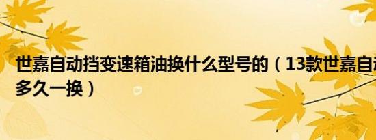 世嘉自动挡变速箱油换什么型号的（13款世嘉自动变速箱油多久一换）