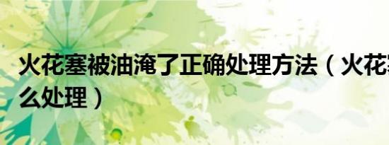 火花塞被油淹了正确处理方法（火花塞淹了怎么处理）