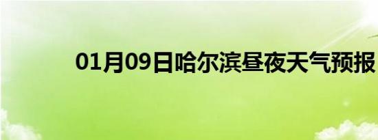01月09日哈尔滨昼夜天气预报